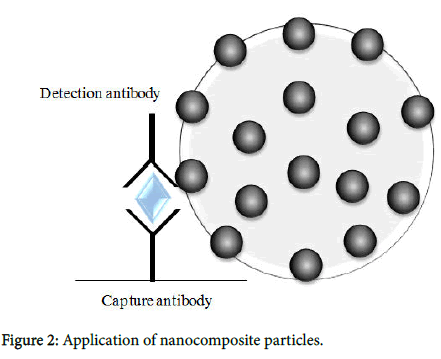 diagnostic-techniques-nanocomposite-particles