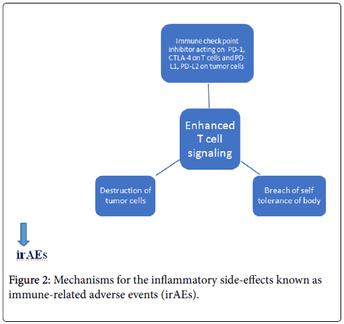 endocrinology-and-diabetes-inflammatory