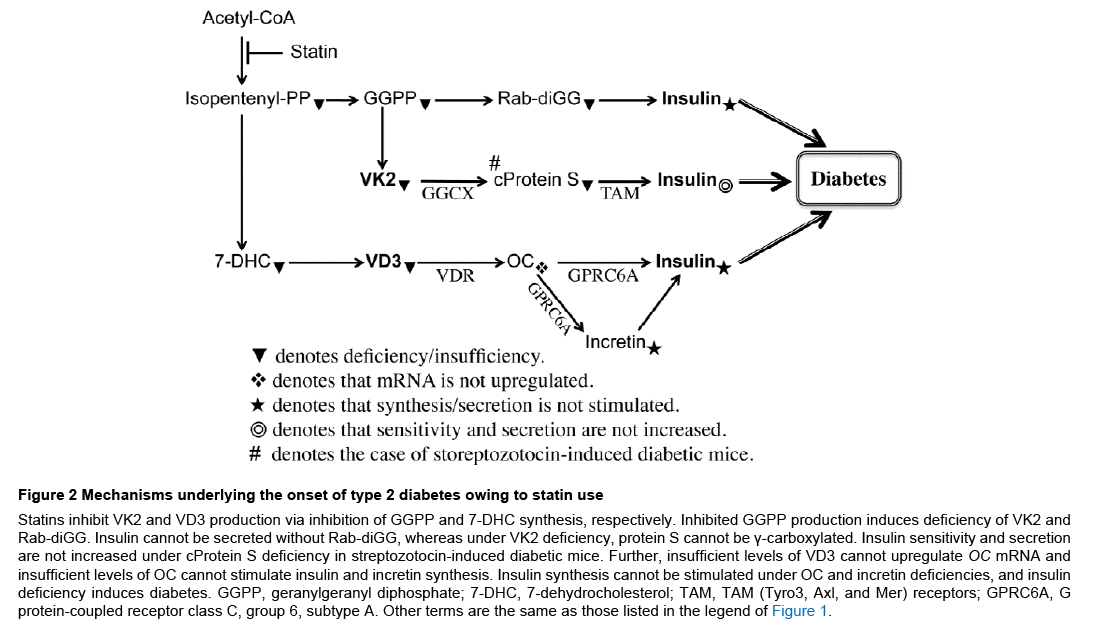 endocrinology-diabetes-diabetes-owing
