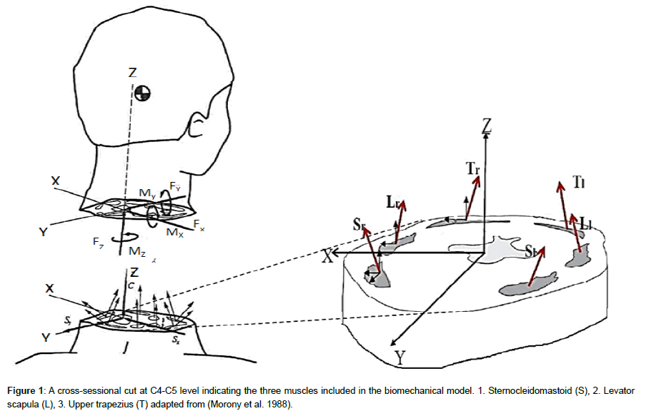 ergonomics-research-cross-sessional