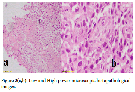 experimental-oncology-High-power