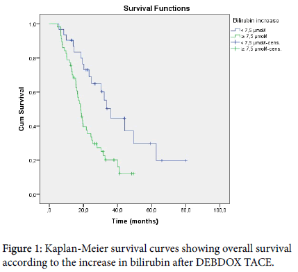 experimental-oncology-Kaplan-Meier