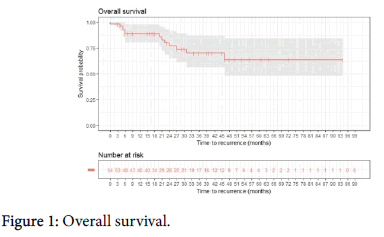 experimental-oncology-Overall-survival