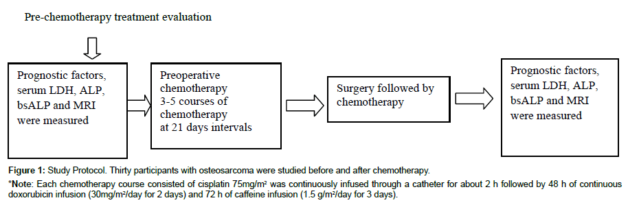 experimental-oncology-Study-Protocol