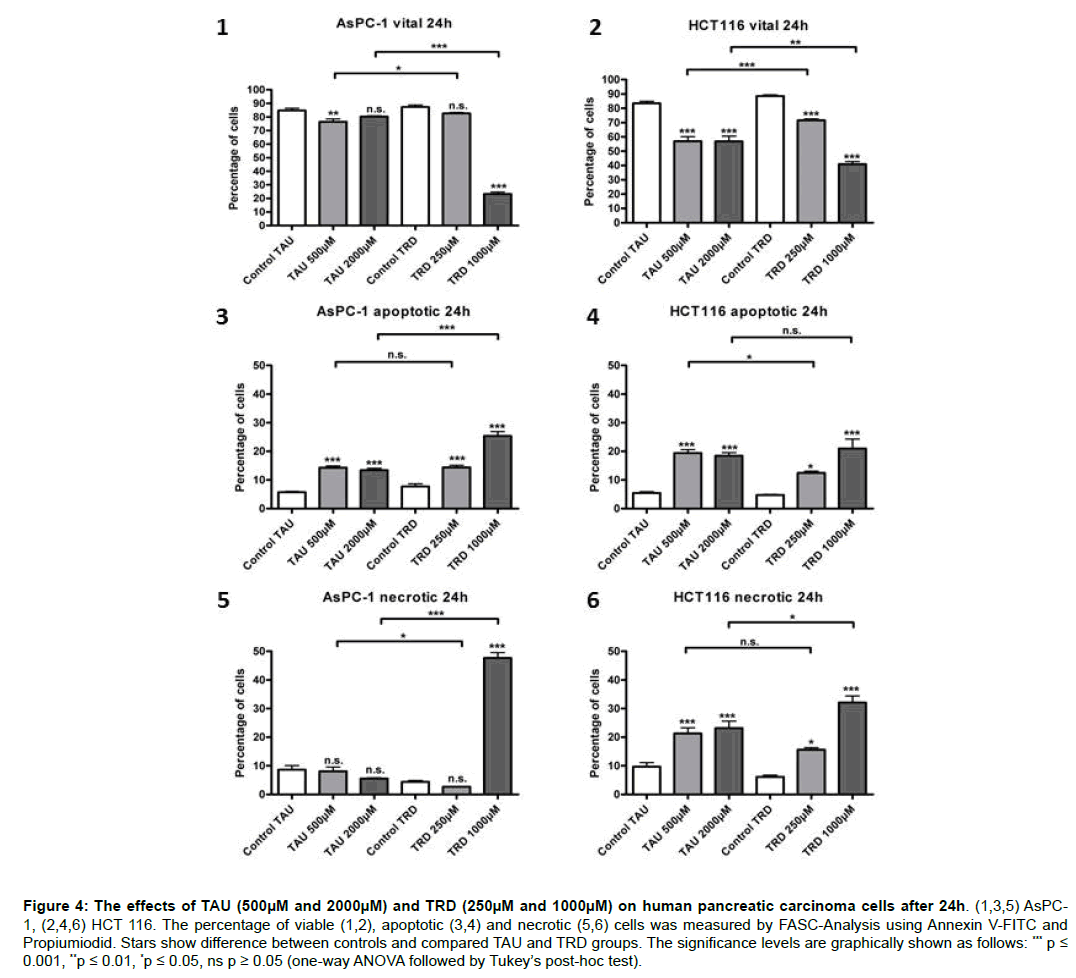 experimental-oncology-carcinoma-cells