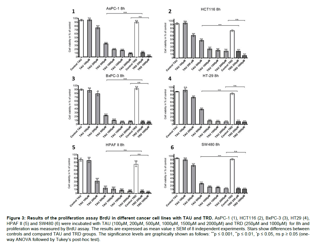 experimental-oncology-proliferation-assay