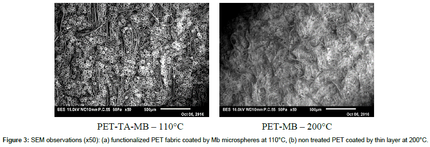 fashion-technology-SEM-observations