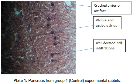 food-nutritional-disorders-Pancreas