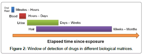 forensic-toxicology-biological-matrices