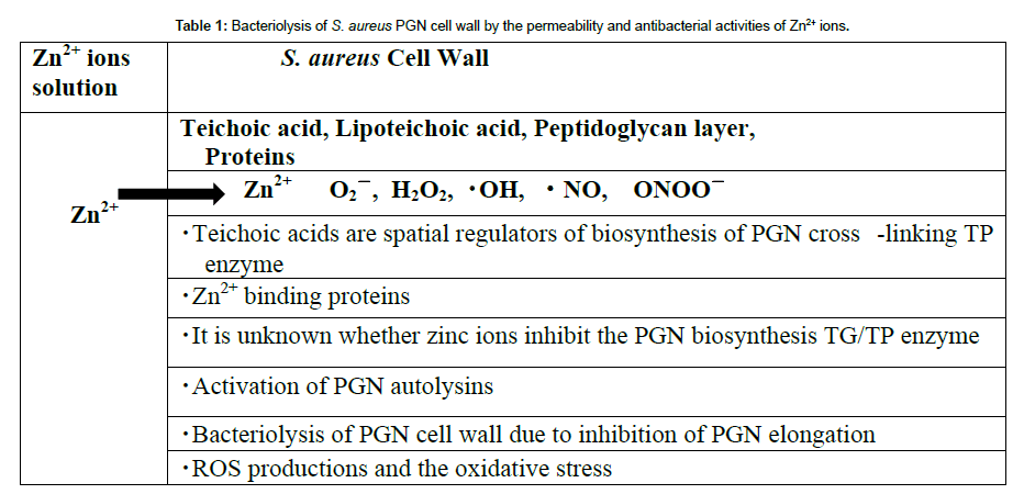 genes-proteins-Bacteriolysis