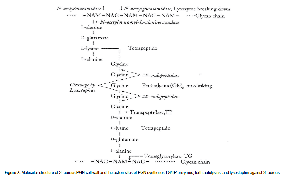 genes-proteins-Molecular-structure