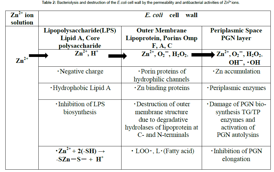 genes-proteins-destruction