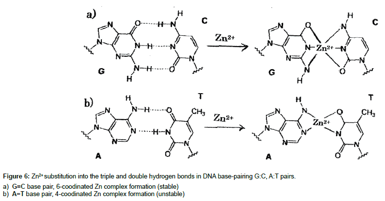 genes-proteins-double-hydrogen