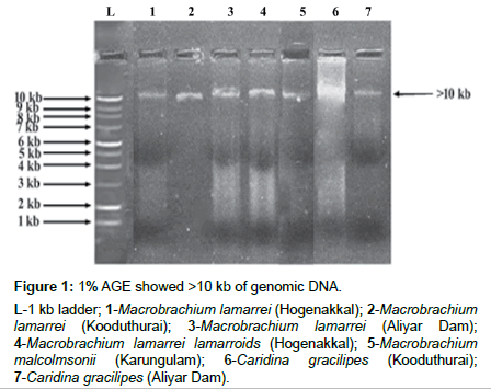 genes-proteins-genomic