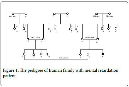 genetic-disorders-Iranian-family