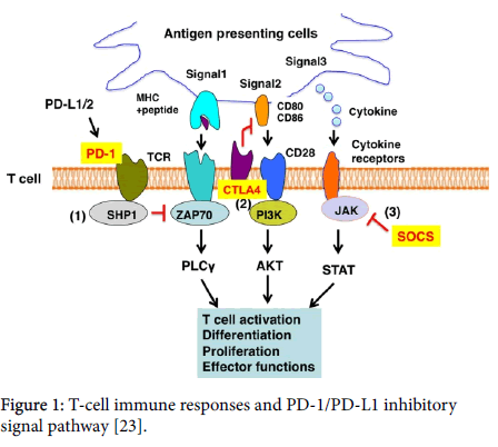 genetic-disorders-signal-pathway