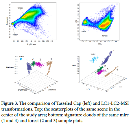 geoinformatics-geostatistics-Tasseled-Cap