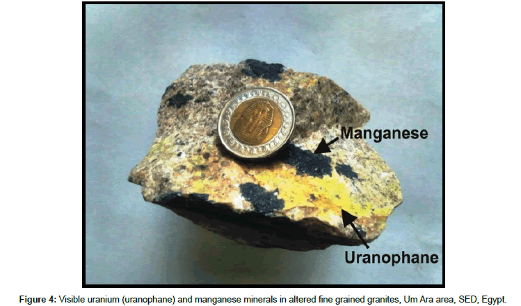 geoinformatics-geostatistics-Visible-uranium