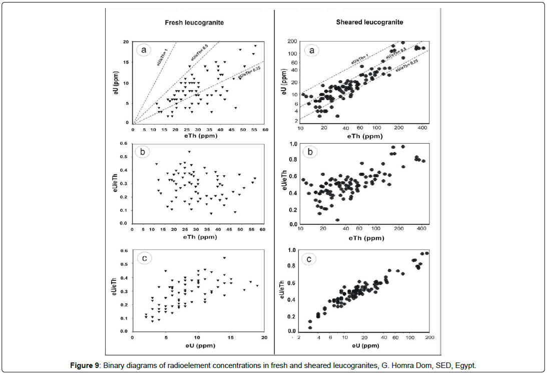 geoinformatics-geostatistics-leucogranites