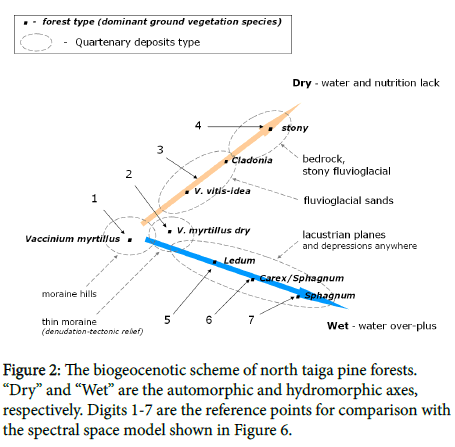 geoinformatics-geostatistics-pine-forests