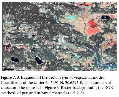 geoinformatics-geostatistics-vector-layer
