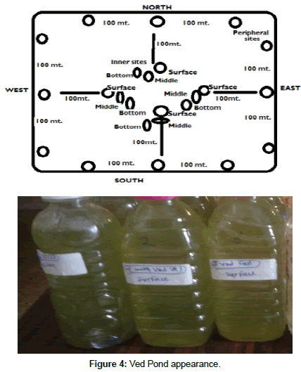 hydrogeology-hydrologic-Pond-appearance