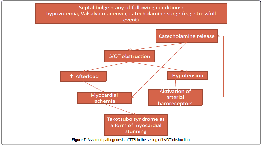 international-cardiovascular-CMR–systole