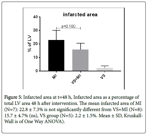 international-journal-cardiovascular-Infarcted-area