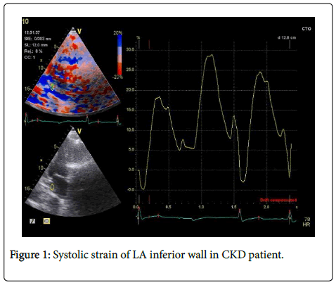 international-journal-cardiovascular-Systolic-strain