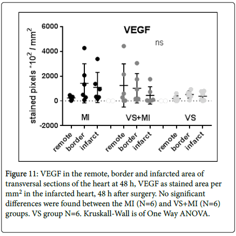 international-journal-cardiovascular-VEGF-stained