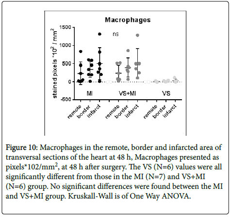 international-journal-cardiovascular-border-infarcted