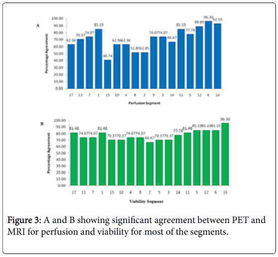 international-journal-of-cardiovascular-research-MRI-perfusion