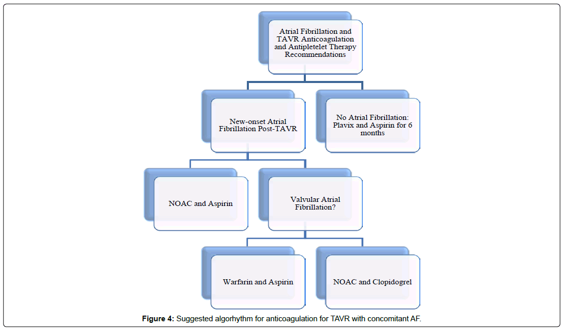 international-journal-of-cardiovascular-research-anticoagulation