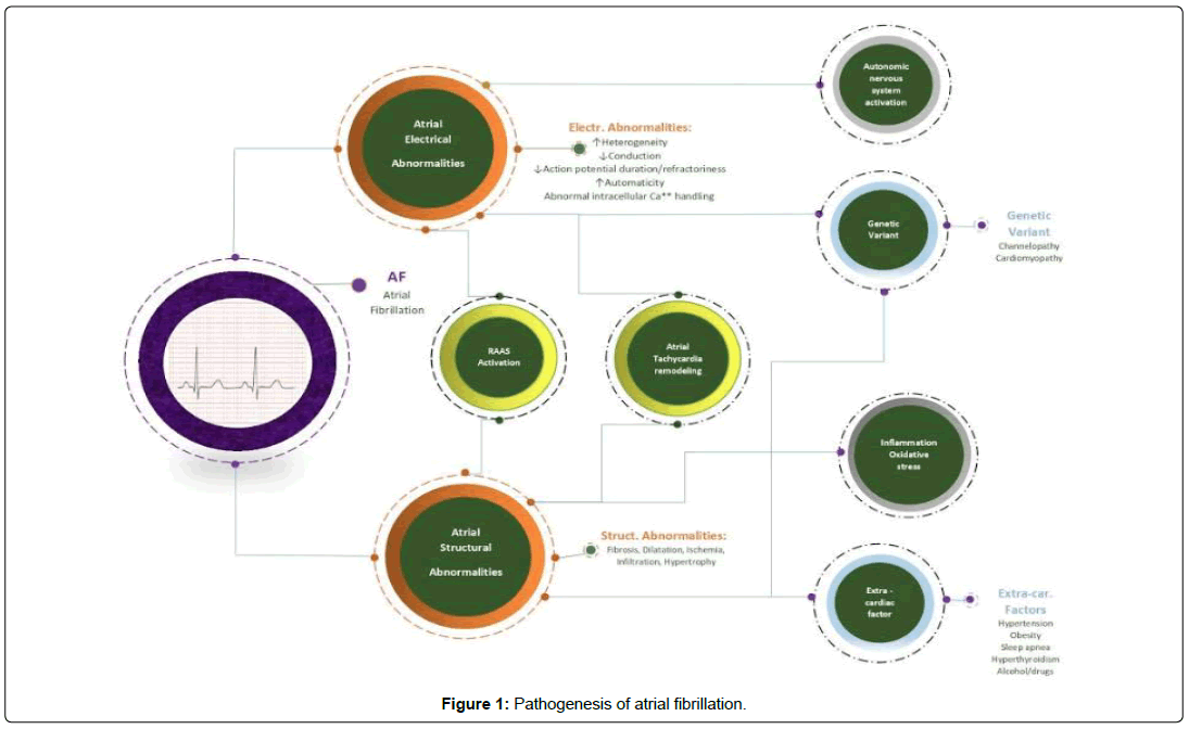 international-journal-of-cardiovascular-research-atrial-fibrillation