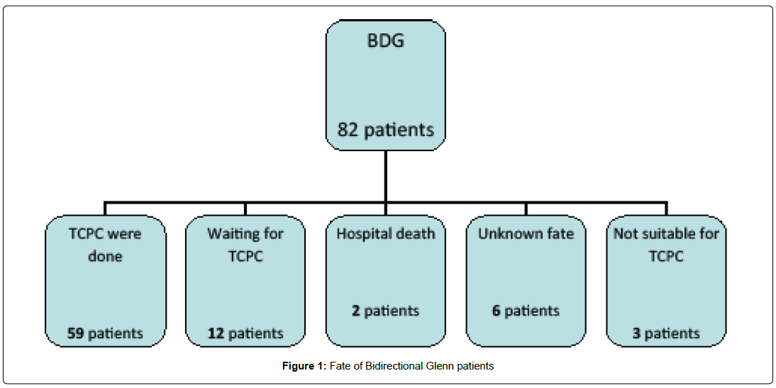 international-journal-of-cardiovascular-research-bidirectional-glenn-patients