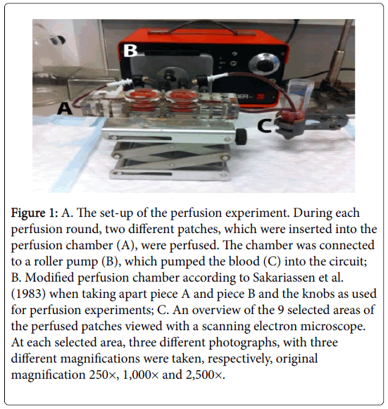 international-journal-of-cardiovascular-research-different-patches