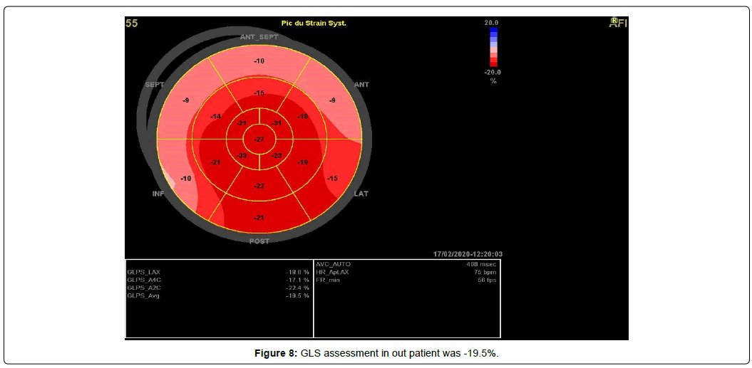 international-journal-of-cardiovascular-research-gls-assessment