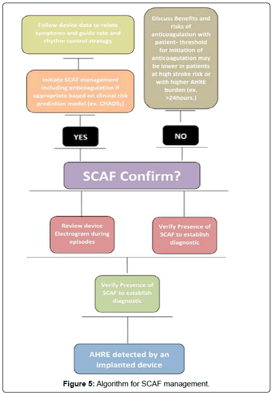 international-journal-of-cardiovascular-research-management