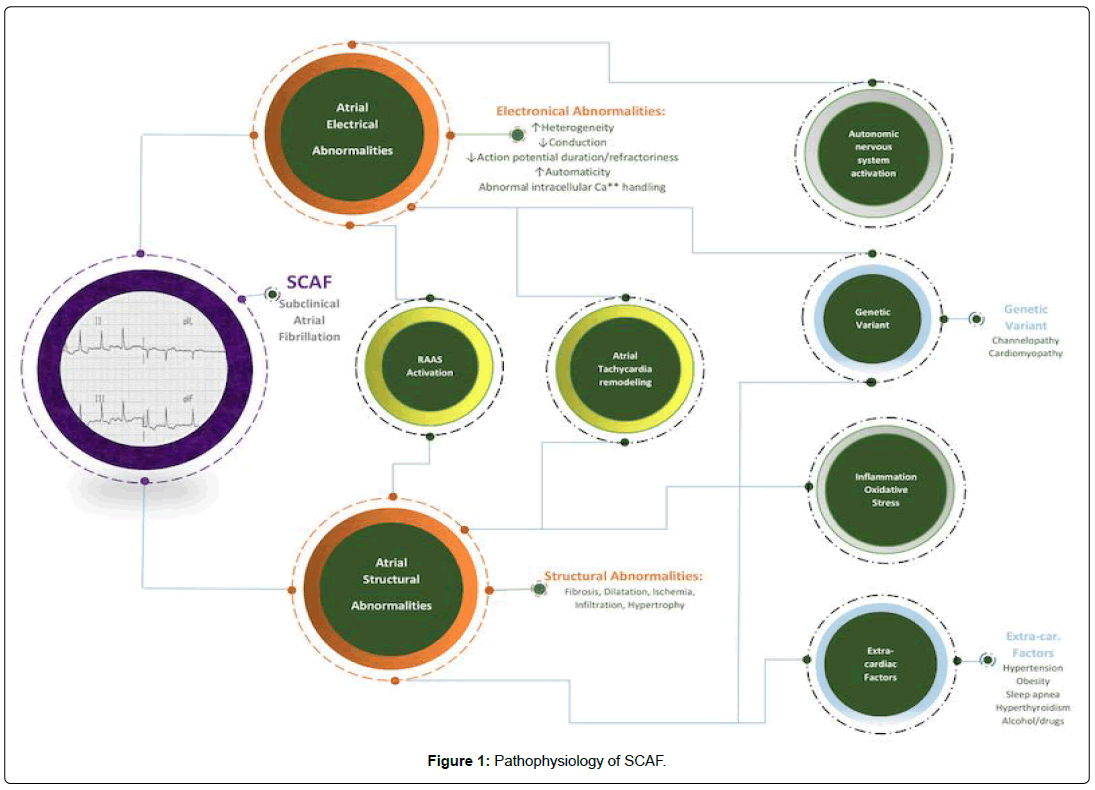 international-journal-of-cardiovascular-research-pathophysiology