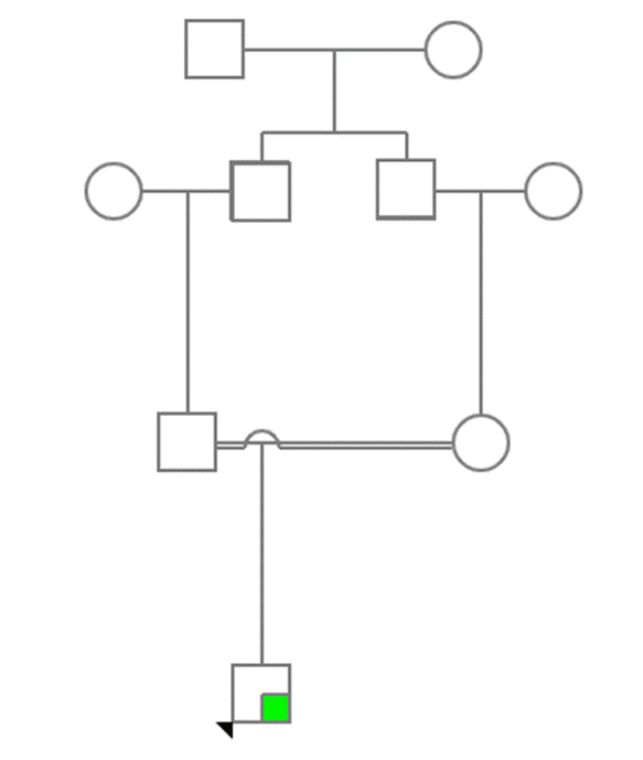 journal-genetic-pedigree journal-genetic-pedigree