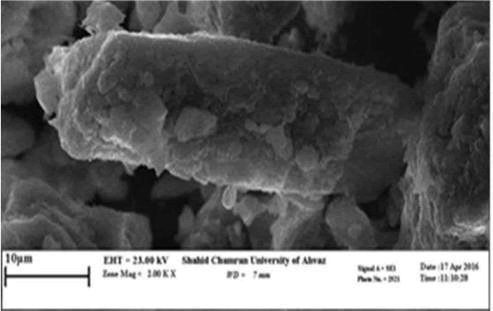 journal-science-images journal-science-images