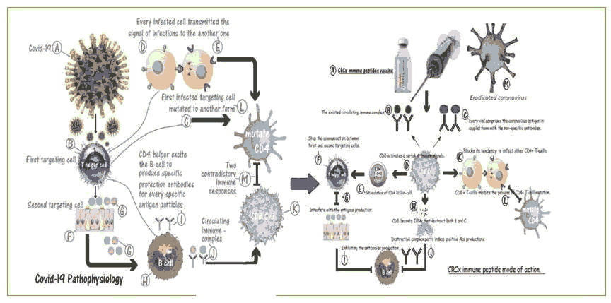 journal-virology-abstract journal-virology-abstract