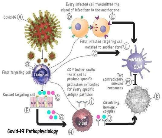 journal-virology-hypothetical journal-virology-hypothetical