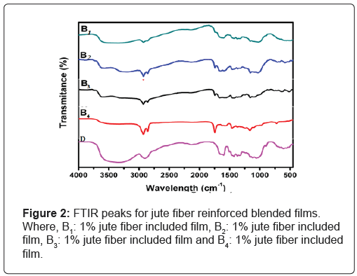 jpsa-fiber