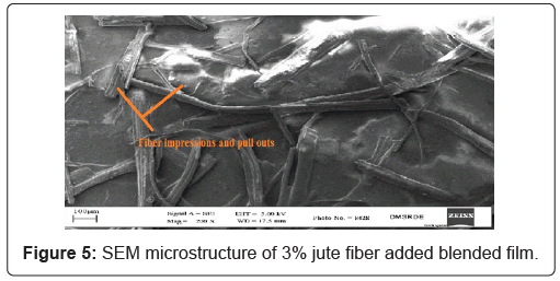 jpsa-fiber