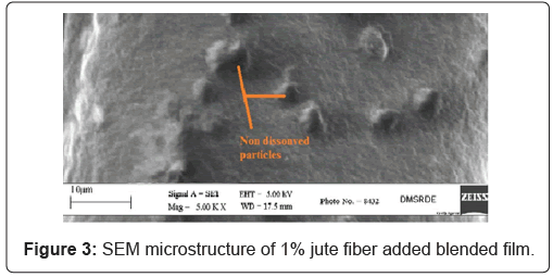 jpsa-microstructure