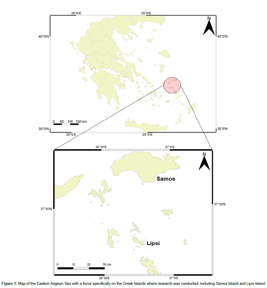 marine-biology-Aegean-Sea