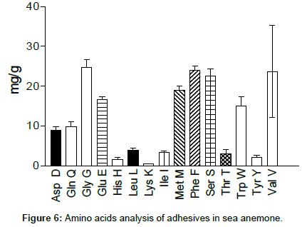 marine-biology-Amino-acids