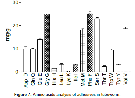 marine-biology-Amino-adhesives