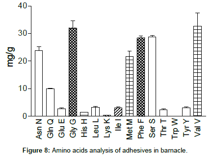 marine-biology-Amino-barnacle